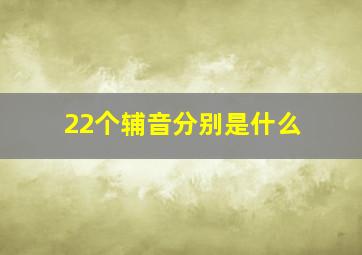 22个辅音分别是什么