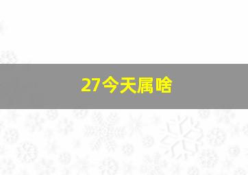 27今天属啥