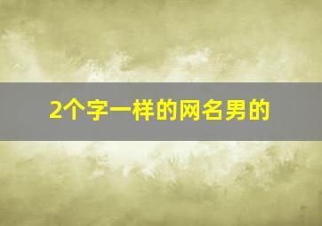 2个字一样的网名男的