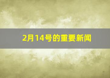 2月14号的重要新闻