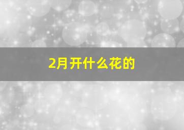 2月开什么花的