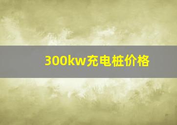 300kw充电桩价格