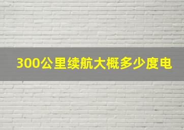 300公里续航大概多少度电