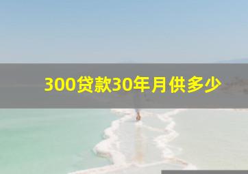 300贷款30年月供多少