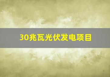 30兆瓦光伏发电项目