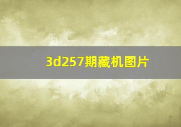 3d257期藏机图片