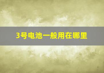 3号电池一般用在哪里