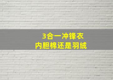 3合一冲锋衣内胆棉还是羽绒