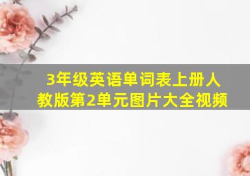 3年级英语单词表上册人教版第2单元图片大全视频