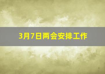 3月7日两会安排工作