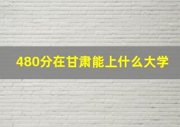 480分在甘肃能上什么大学