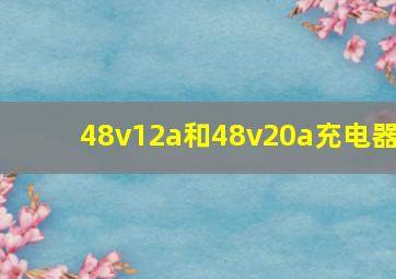 48v12a和48v20a充电器