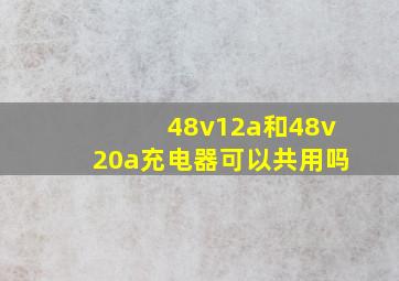 48v12a和48v20a充电器可以共用吗