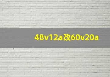 48v12a改60v20a