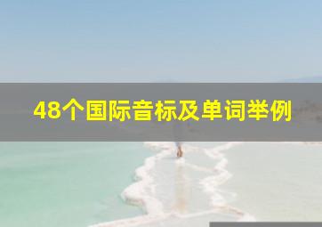 48个国际音标及单词举例