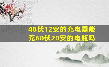 48伏12安的充电器能充60伏20安的电瓶吗