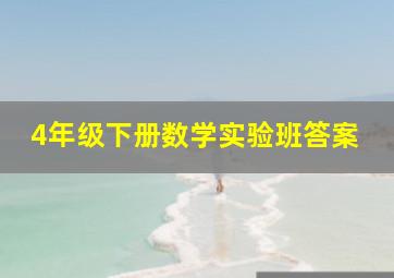 4年级下册数学实验班答案