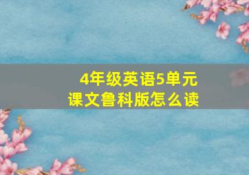 4年级英语5单元课文鲁科版怎么读