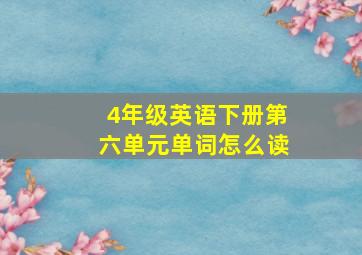 4年级英语下册第六单元单词怎么读