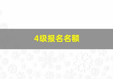 4级报名名额