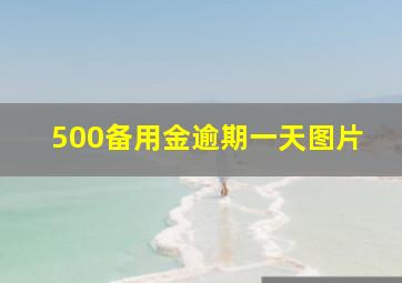 500备用金逾期一天图片