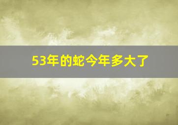 53年的蛇今年多大了