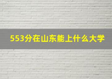 553分在山东能上什么大学