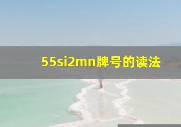 55si2mn牌号的读法