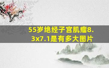 55岁绝经子宫肌瘤8.3x7.1是有多大图片