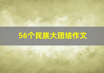 56个民族大团结作文