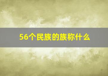 56个民族的族称什么