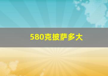 580克披萨多大