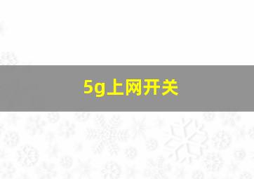 5g上网开关