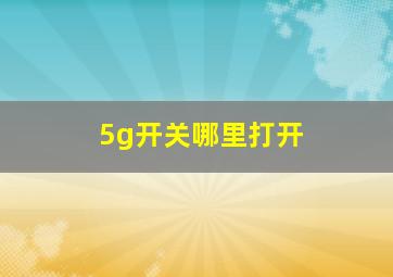 5g开关哪里打开