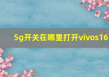 5g开关在哪里打开vivos16