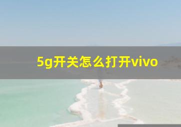 5g开关怎么打开vivo