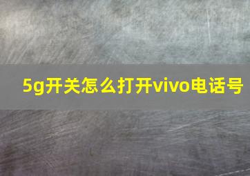 5g开关怎么打开vivo电话号