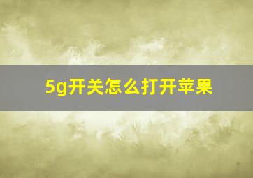 5g开关怎么打开苹果