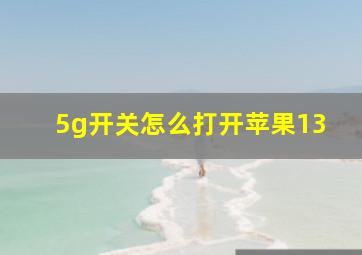 5g开关怎么打开苹果13