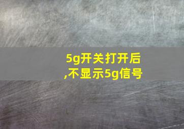 5g开关打开后,不显示5g信号