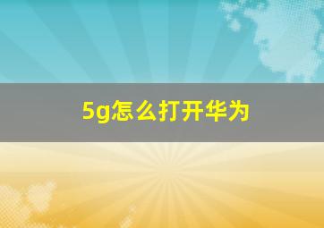 5g怎么打开华为