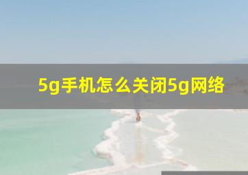 5g手机怎么关闭5g网络