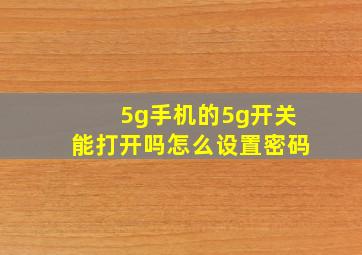 5g手机的5g开关能打开吗怎么设置密码