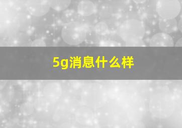 5g消息什么样