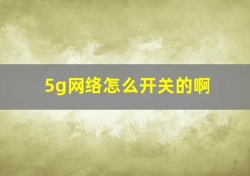 5g网络怎么开关的啊