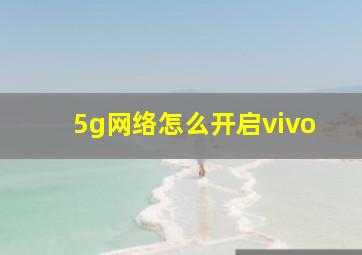 5g网络怎么开启vivo