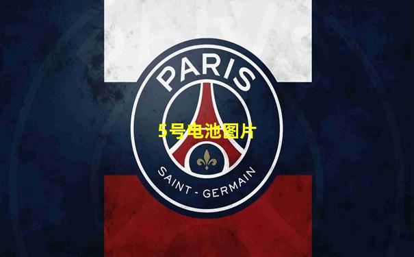 5号电池图片