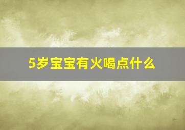 5岁宝宝有火喝点什么