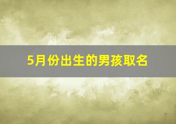 5月份出生的男孩取名