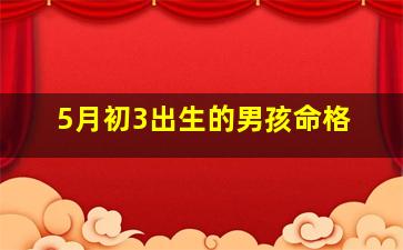 5月初3出生的男孩命格